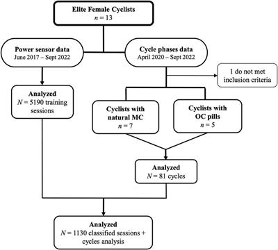 Impact of menstrual cycle or combined oral contraception on elite female cyclists' training responses through a clustering analysis of training sessions